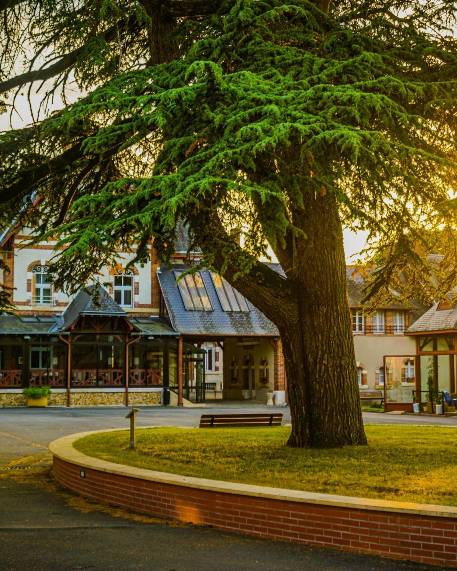 Hotel-Restaurant Domaine De La Grande Garenne Neuvy-sur-Barangeon Kültér fotó